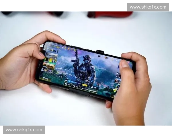 风暴英雄内存优化策略与游戏性能提升分析